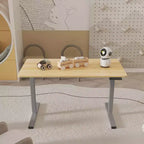 48 x 24Electric Standing Desk Adjustable Height Desk Home Office Computer Workstation Sit Stand up Desk