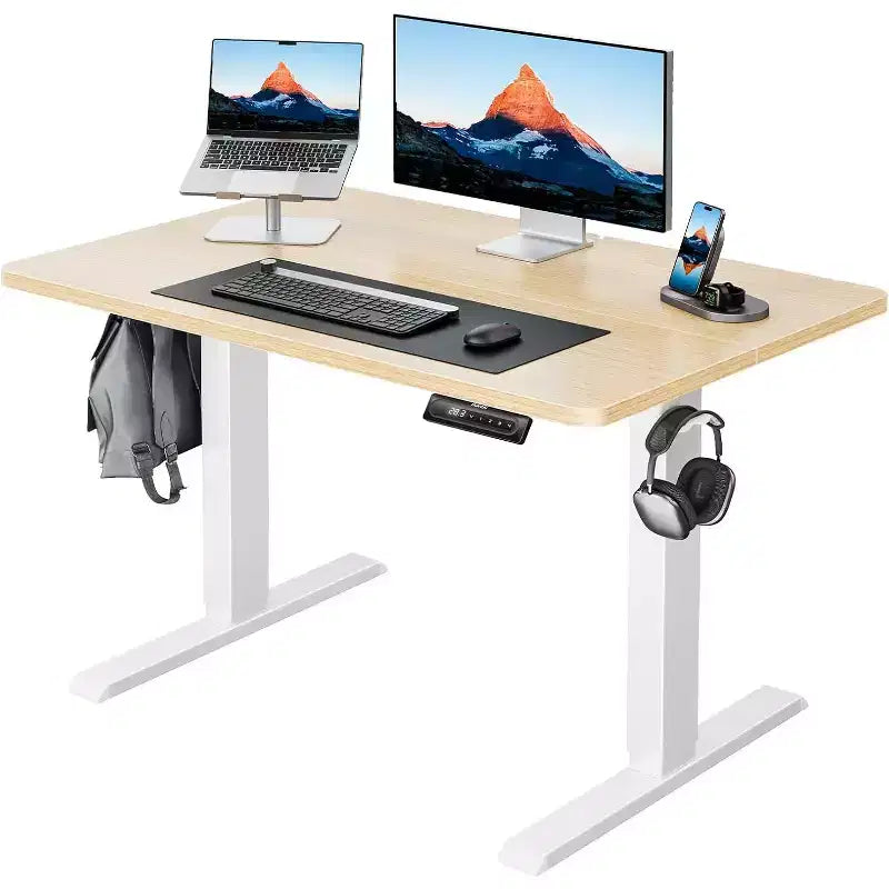 HUANUO 40x24 Electric Standing Desk, Adjustable Height, 4 Memory Settings, Headphone Hook & Cable Manager for Home Office