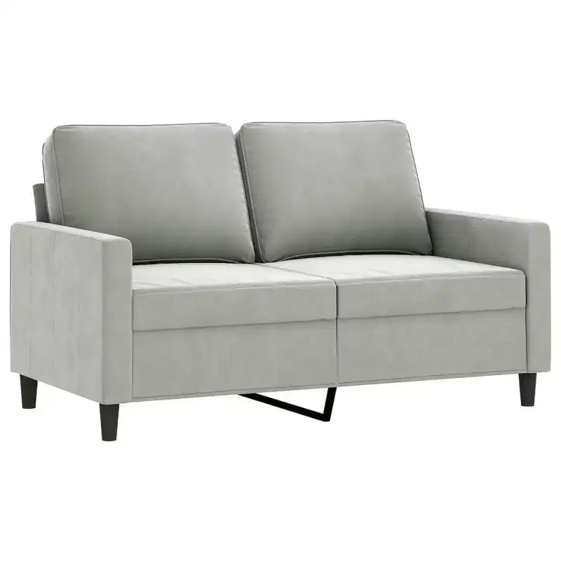 vidaXL Modern 2-Seater Sofa Crafted from Velvet and Metal Frame, Comfortable Padded Seating, Light Gray - Ideal for Living Room or Patio